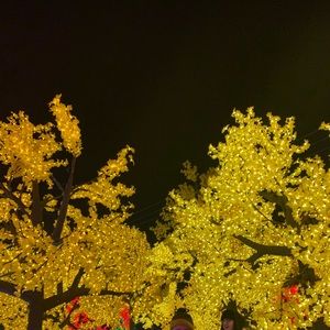 Meet your Posher, Aisha